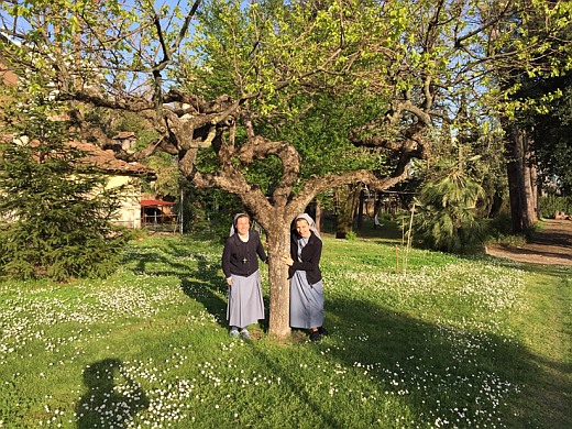 Probacja międzynarodowa